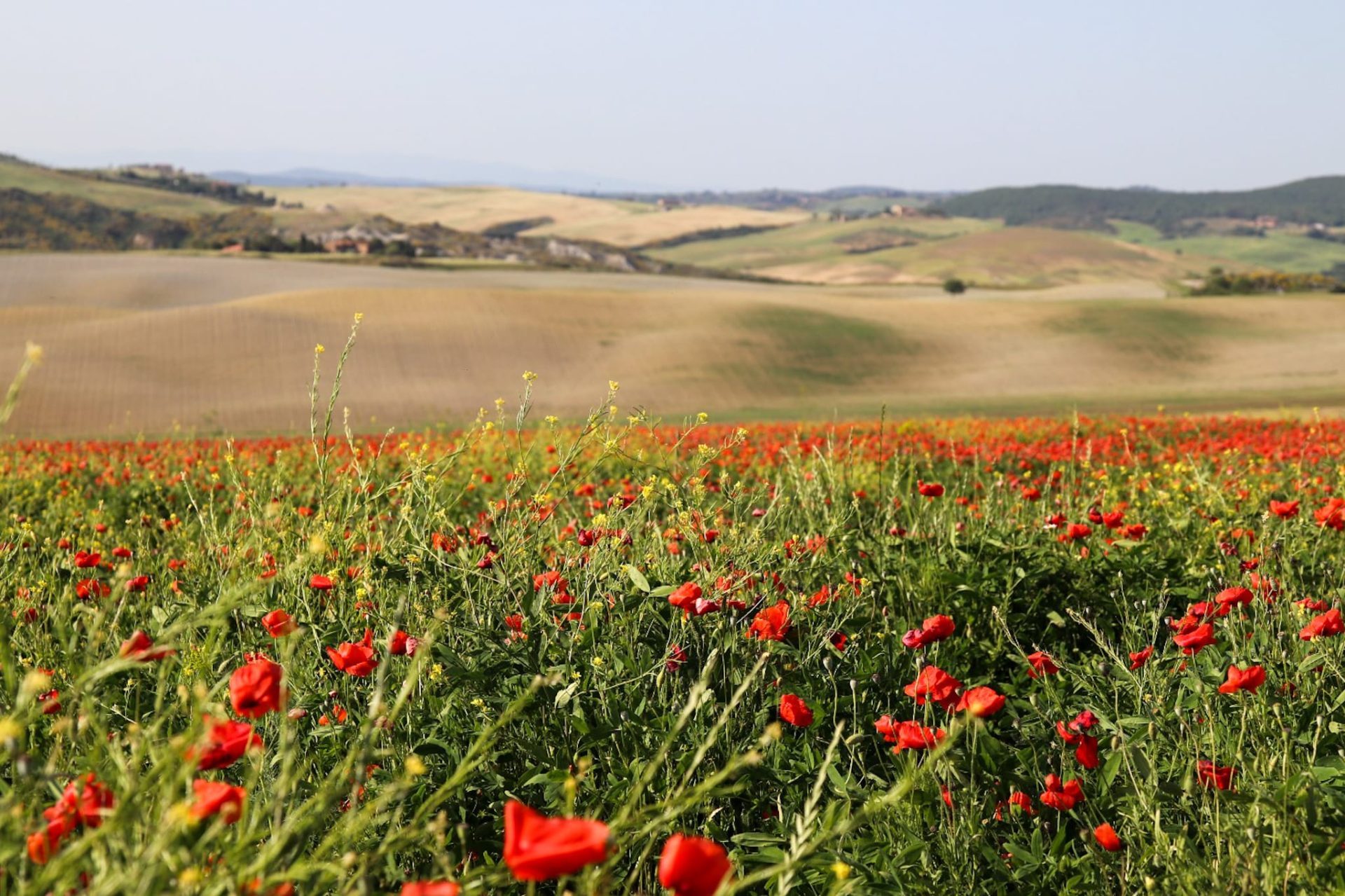 Road trips por el Valle del Orcia