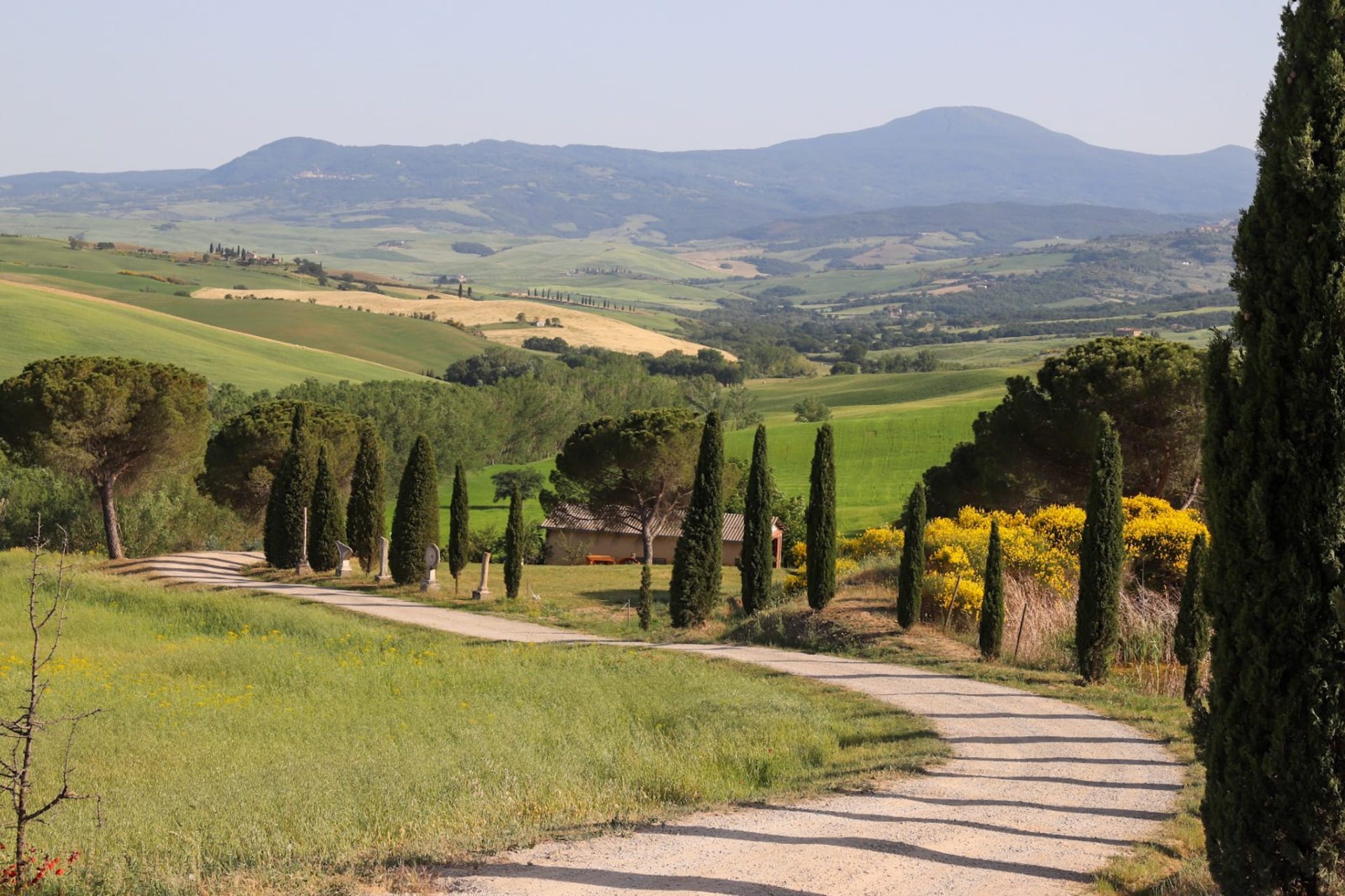 Camino sinuoso rodeado de los clásicos cipreses