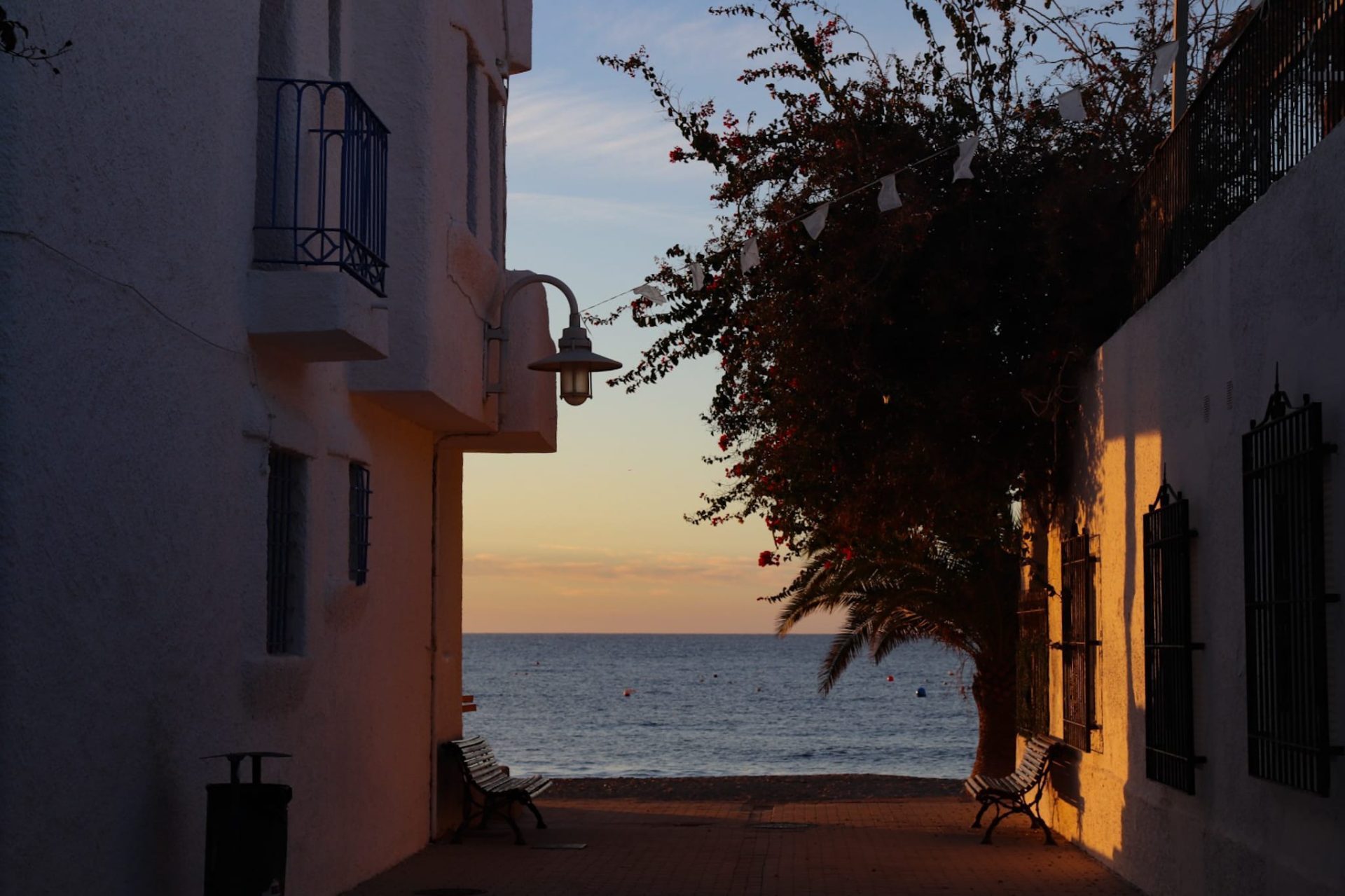 Guía del Parque Natural Cabo de Gata Nijar