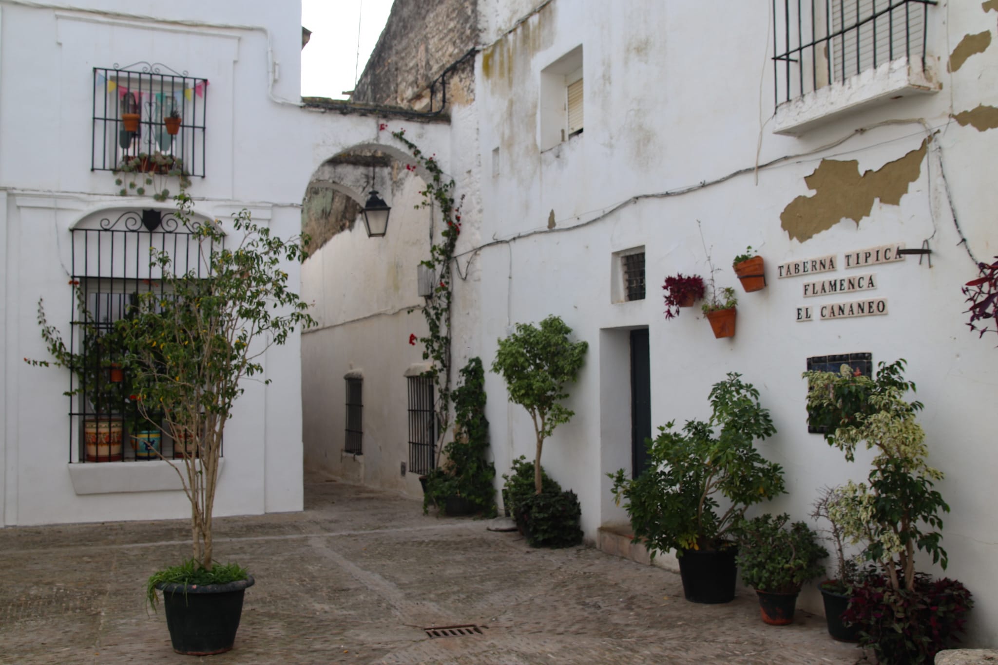 Ruta por los pueblos blancos de Cádiz