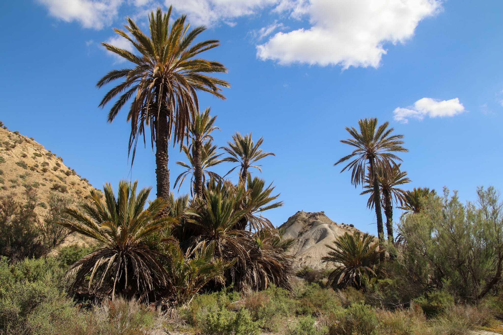 Almería tierra de cine